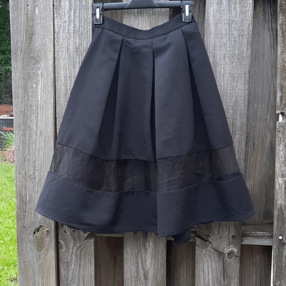 Express Skirt, Sheer Panel insert Black, 6, Pleats